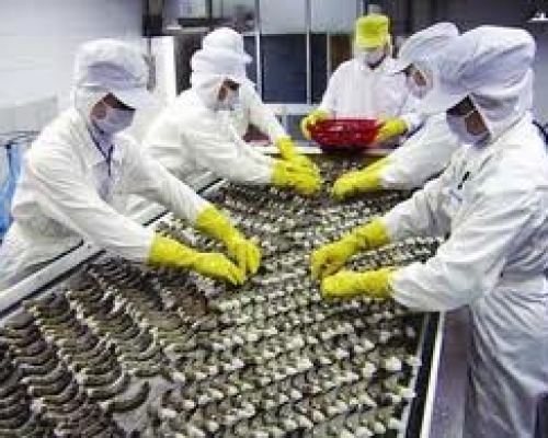  Vietnam: Back to Organic?